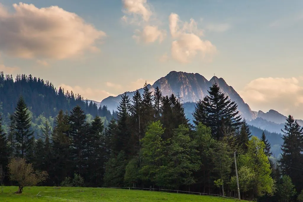 Kwatera prywatna Willa Stachoniówka Zakopane Polska